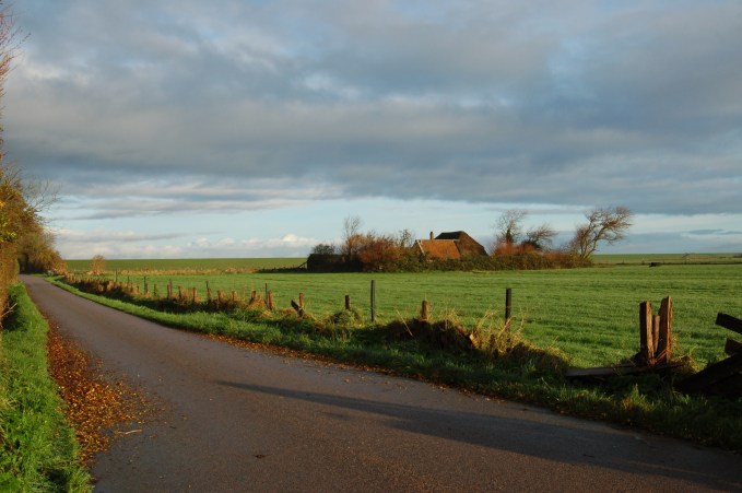 195.cornagroenveld-deverwondering-nieuwe-werkplek-verbouwing-wieringen-boerderij-yoga-retraite-opstellingen-verdiepingsdag-meditatie-stilte-rust